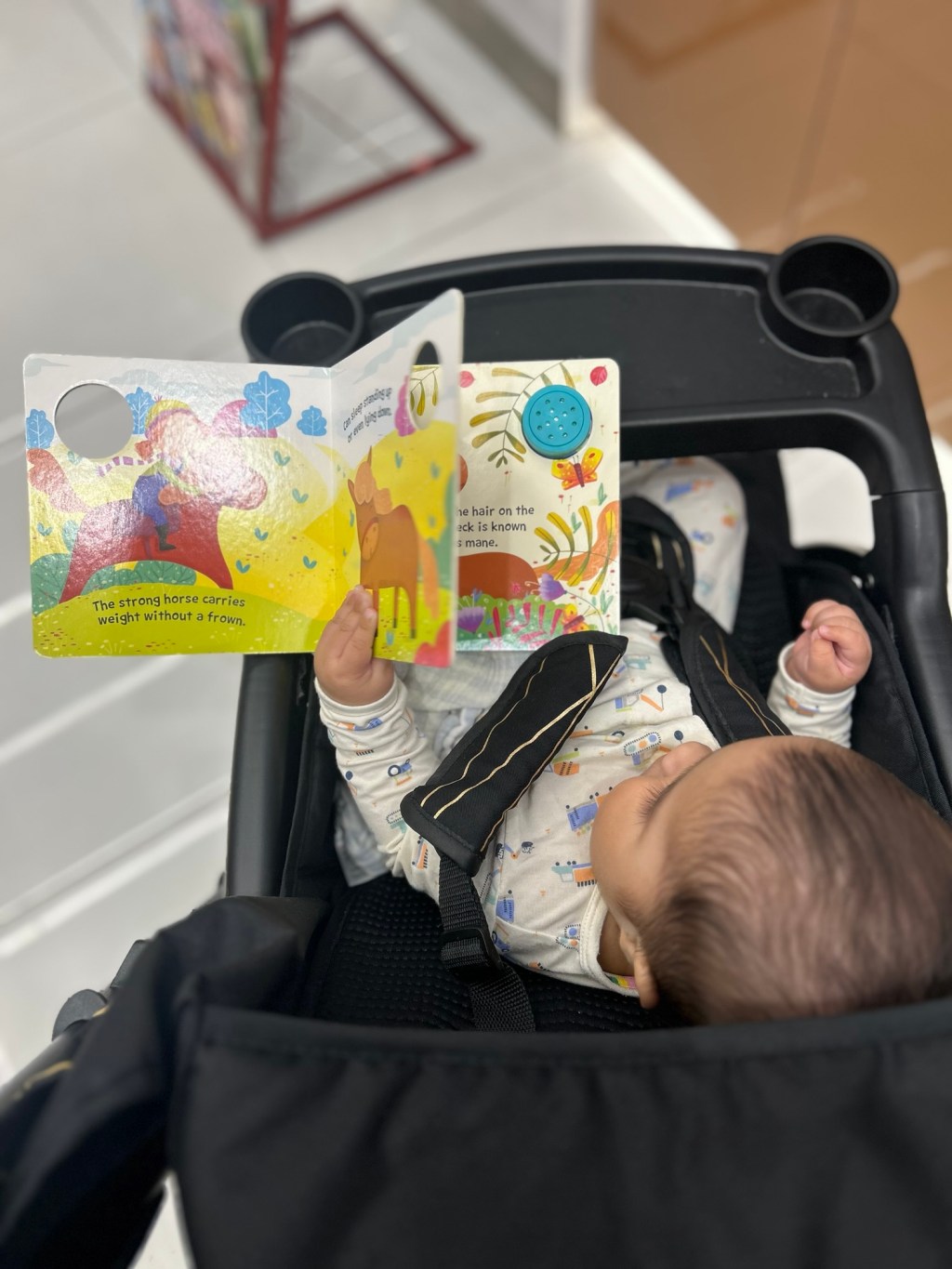 Our Journey with Books So&nbsp;Far