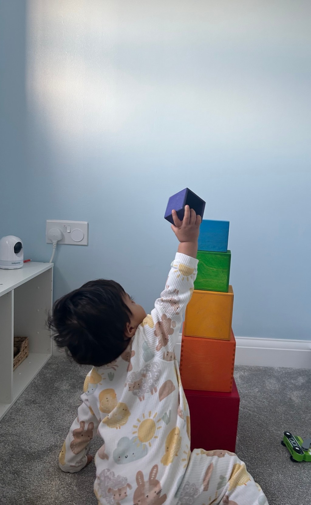 Sensitive Periods in the Toddler Years