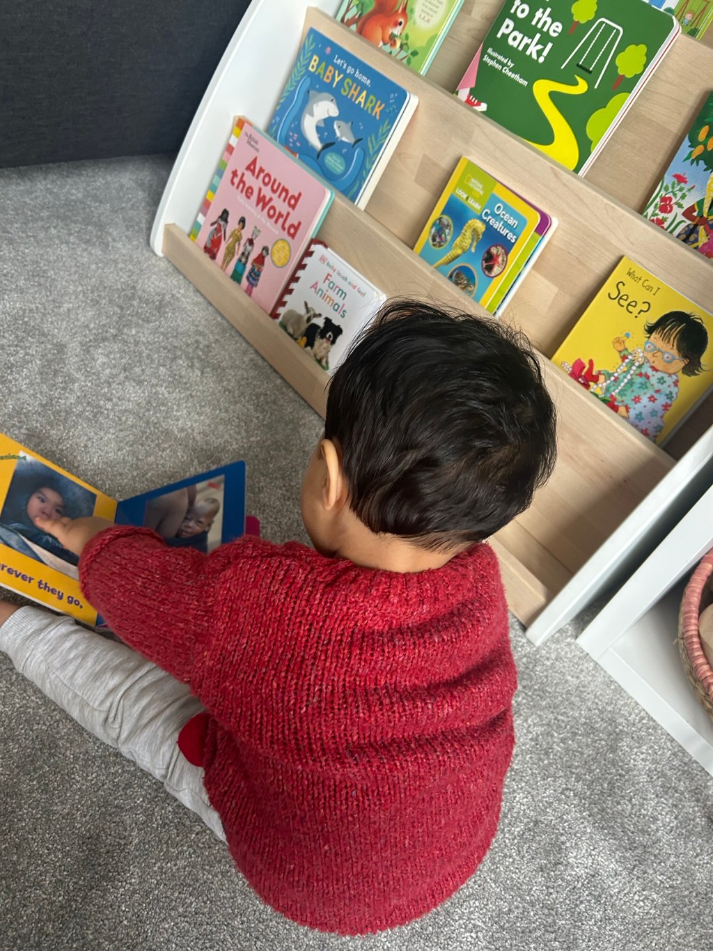 Books Around the&nbsp;House